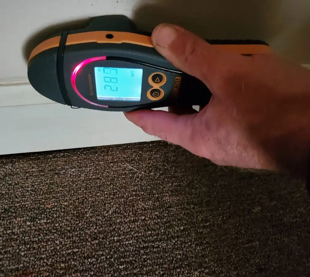 Moisture detection at baseboard during Mold Inspection & Testing in Straban